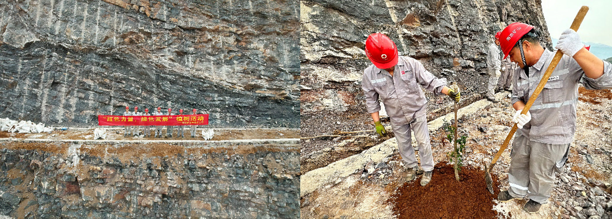 1678688701213461.jpg 5.jpg