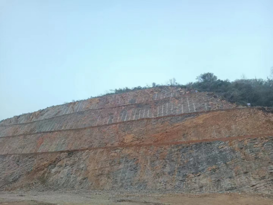 1715147950576943.png image.png